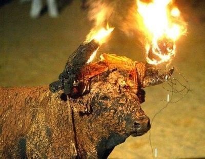 Spectacle honteux : le taureau de Medinaceli